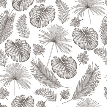 Seamless vector pattern graphic linear tropical leaves