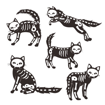 Set of cats skeletons isolated on white background. Vector graphics.