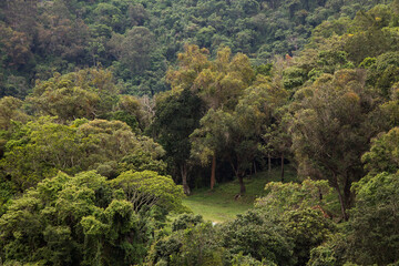 Green places full of peace of mind in el avila public park. Traveling through Caracas, knowing biodiverse recreation areas in Venezuela