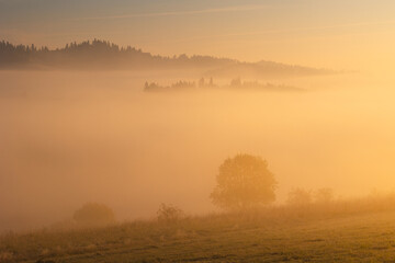 Fototapeta na wymiar Foggy, autumn morning in the Pieniny Mountains. Light and fog create an amazing mood in the photo.
