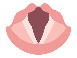 声帯のイラスト_フラット_呼吸時