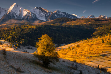 Autumn views of the Tatra Mountains from the surrounding hills. You can see the contrast between the snow above and the yellow leaves below.