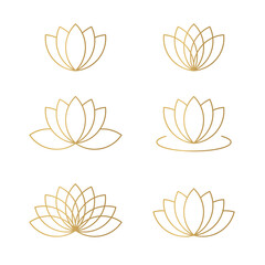 golden lotus flower set- vector illustration