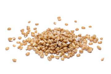 Cooked spelt grain pile isolated on white