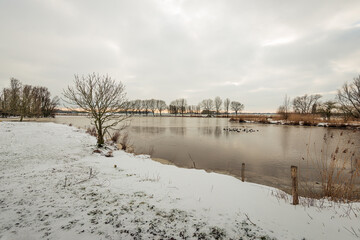 Dutch winter landscape with coots in an increasingly frozen lake. The photo was taken on a cloudy day near the village of Hooge Zwaluwe in the province of North Brabant.