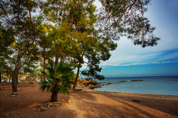 Fototapeta na wymiar PHASELIS, TURKEY: The scenic view of the beach of Phaselis ancient city on a cloudy day.