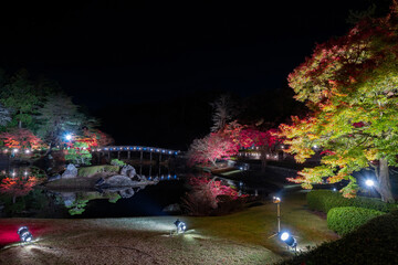 静岡県伊豆市修善寺　虹の郷　紅葉のライトアップ　リフレクション