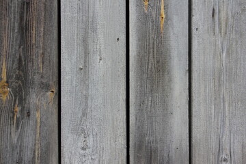 Old dry gray wooden wall surface of a rural barn with weathered vertical boards close-up - vintage rustic background texture