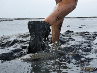 Hiking (mud walking) across the North sea from the mainland Netherlands to Ameland island. The...