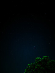 night shot with stars and tree, abstract