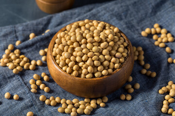 Dry Organic Soy Beans