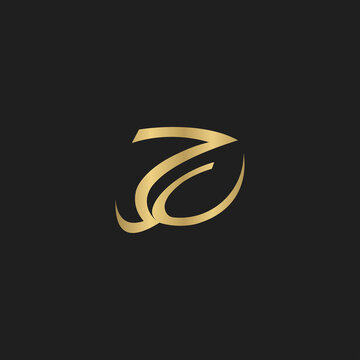 ZY, YZ, Abstract initial monogram letter alphabet logo design