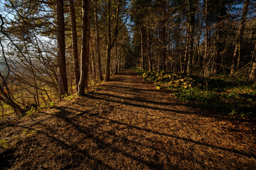 Bridle Path near broomhead reservoir in the ewden valley near sheffield