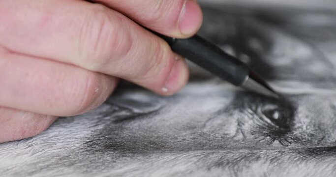 The artist paints a picture with a pen. The process of creating a sketch depicting a portrait of an old man. Hobby drawing, close up.