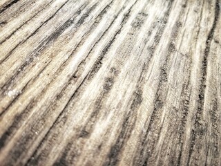 dark wood texture background surface old natural pattern soft brown