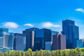 東京の都市風景 皇居外苑から見る大手町周辺のビル群