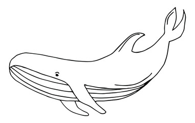 Plakat Collection hand drawn whales isolated on white background. Giant sea and ocean creatures. Coloring book page design for adults and kids