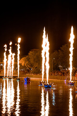 Fire Flames from Flower Structures