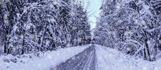 beautiful winter background with a snow-covered forest road