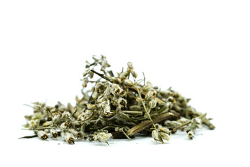 dried mugwort isolated on white background