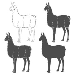 Set of black and white illustrations with llama, alpaca. Isolated vector objects on a white background.