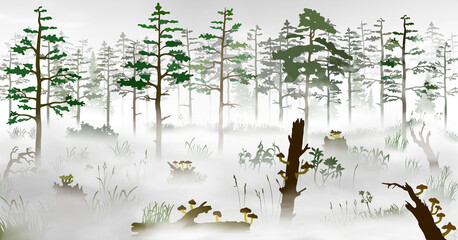 Swamp in the fog in front of the pine tree forest. Silhouette vector illustration of the bog with fallen trees, fungus, rotten stumps, mushrooms; grass, mist, plants, woods at morining. - obrazy, fototapety, plakaty