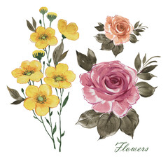 Abstract illustration of painted roses and wildflowers