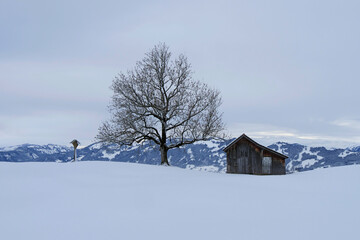 Allg&auml;uer Winterlandschaft.