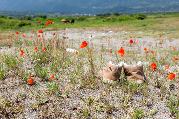 in the steppe they took off and left their shoes, red poppies around them
