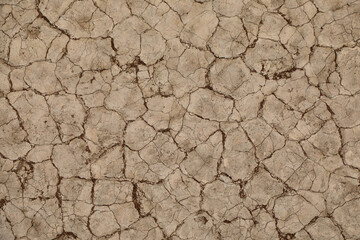 Dry cracked brown mud during drought