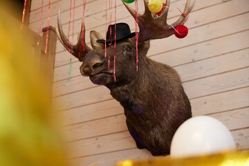 stuffed moose head decorated for the new year