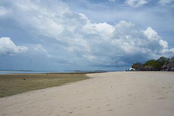 Low tide water on Zanzibar beach. Tanzanian island landscape  