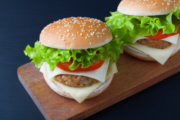 Fresh tasty burger on dark background.