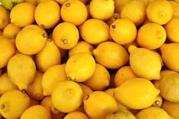 Lemons galore