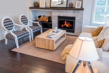 Obraz premium Interior design of a luxury living room