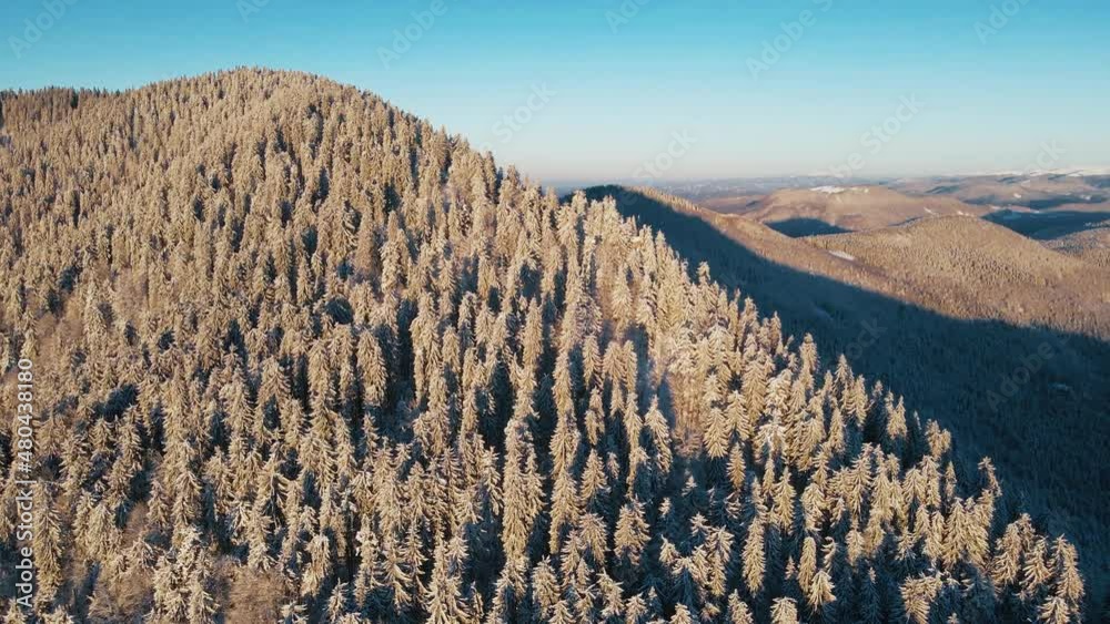 Canvas Prints Relaxing flight over the winter mountains