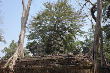Adventure of exploring mystic Ta Prohm temple overgrown by jungle trees (horizontal image), Siem Reap, Cambodia