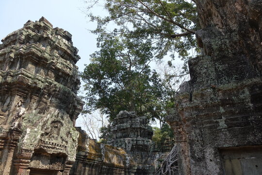 Adventure of exploring mystic Ta Prohm temple overgrown by jungle trees (horizontal image), Siem Reap, Cambodia