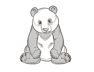 
Animals. Black and white panda drawing. Coloring book for kids. Background, design.