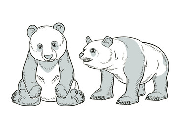 
Animals. Black and white panda drawing. Coloring book for kids. Vector image. Background, design.