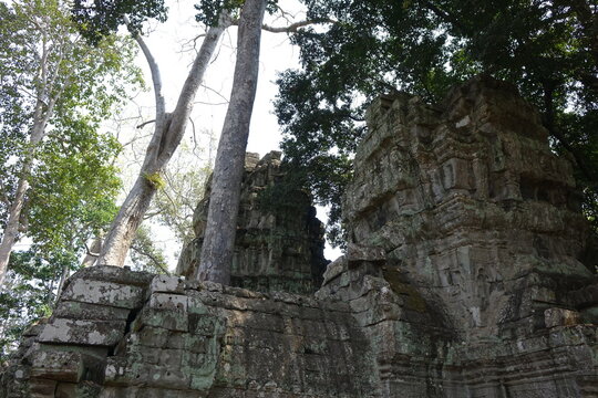 Adventure of exploring mystic Ta Prohm temple overgrown by jungle trees (horizontal image), Siem Reap, Cambodia