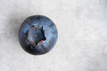 One fresh blueberry isolated on a neutral background