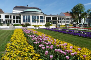 Blumen und Kurhaus in Bad Salzuflen