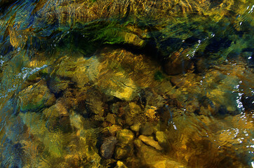 Landscape with a riverain bank, on a sunny day in summer