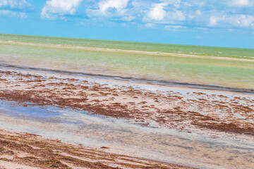 Natural Holbox island beach sandbank panorama turquoise water waves Mexico.