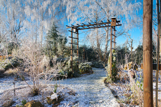 Garten im Winter - garden in winter with hoarfrost on a cold day