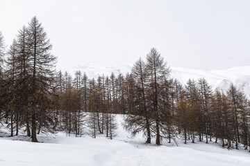 
Il piccolo borgo di Ferrere, raggiungibile soltanto a piedi durante la stagione invernale. Valle Stura - Provincia di Cuneo- Piemonte

