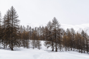 
Il piccolo borgo di Ferrere, raggiungibile soltanto a piedi durante la stagione invernale. Valle...
