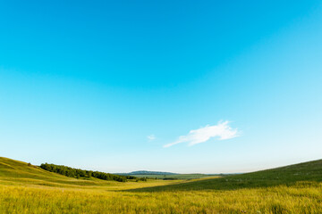Obraz premium Plain, yellow field and hills, beautiful scenery.