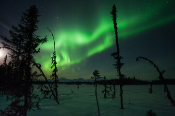Obraz na płótnie Canvas Northern Lights or Aurora Borealis in Alaska
